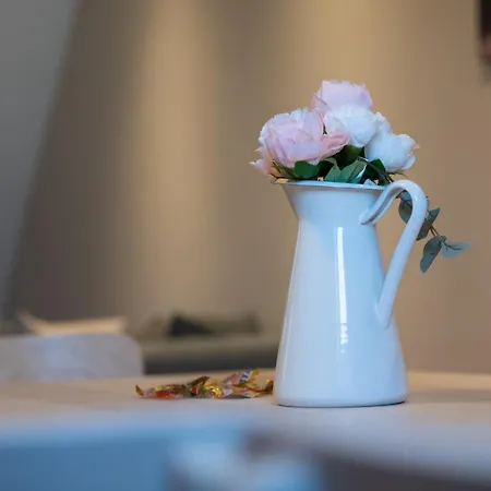 Haus99 Budget & Apartamento